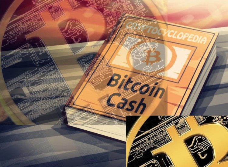 你聽說過比特幣現(xiàn)金嗎？比特幣現(xiàn)金和比特幣有什么不同？