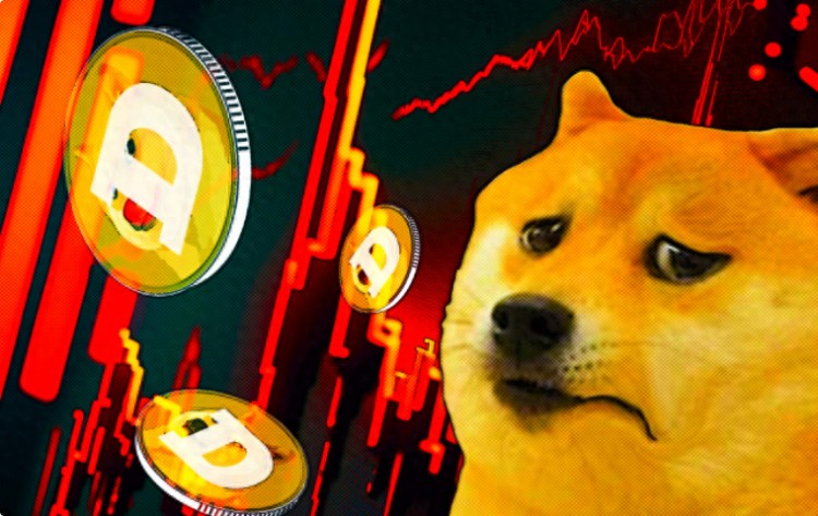 狗狗幣（DOGE）經(jīng)過短暫的調(diào)整，牛市再次團結(jié)起來