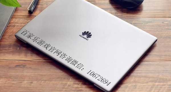 什么是SDT硬幣？