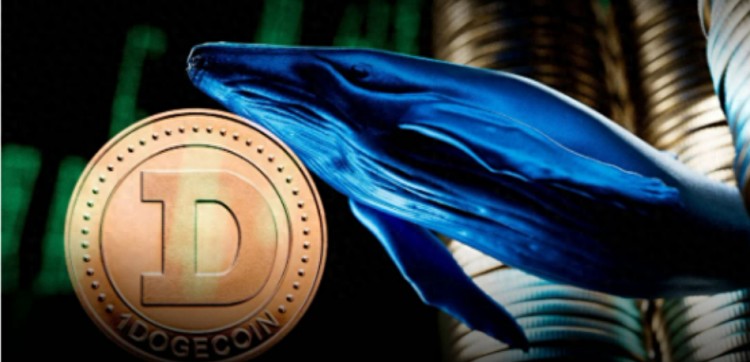 鯨魚來自狗幣 Robinhood 轉(zhuǎn)移了超過 1.03 億狗狗幣
