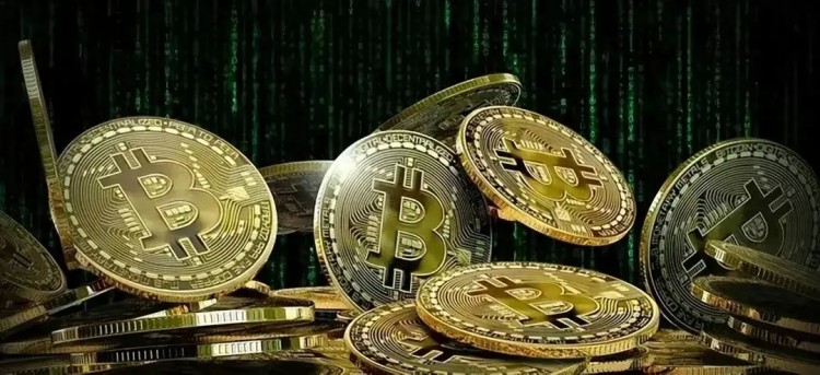 Catrina：與可編程相比，比特幣的資本效率更為重要