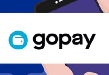 什么是gopay？