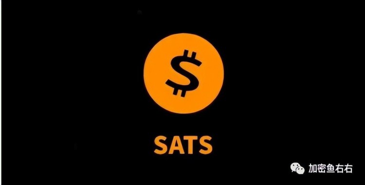 SATS的發(fā)展歷程，大戶獲利，贏家分析