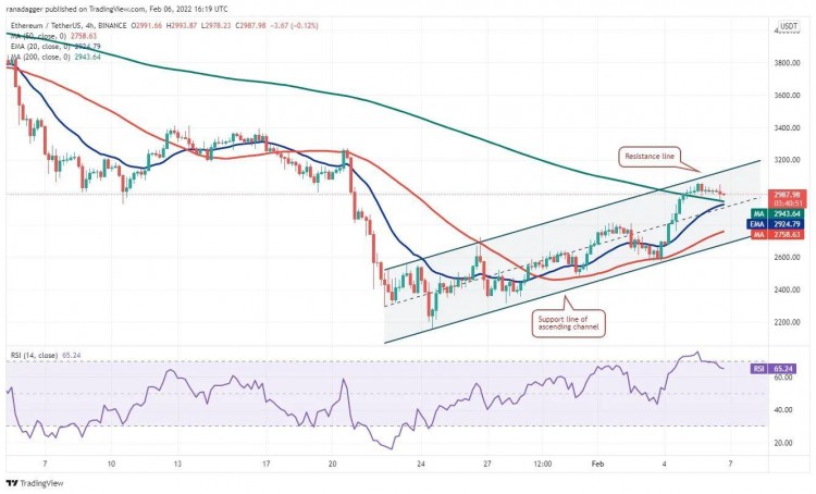 這個星期值得關(guān)注 5 大型加密貨幣：BTC、ETH、NEAR、MANA、LEO