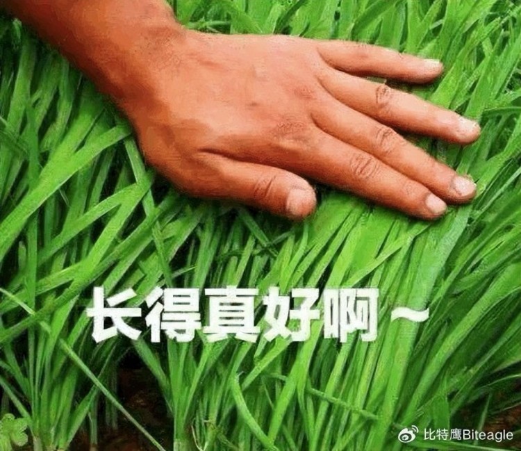 八月份結(jié)束九月幣券大事件；發(fā)財(cái)?shù)臋C(jī)會(huì)就在這里。