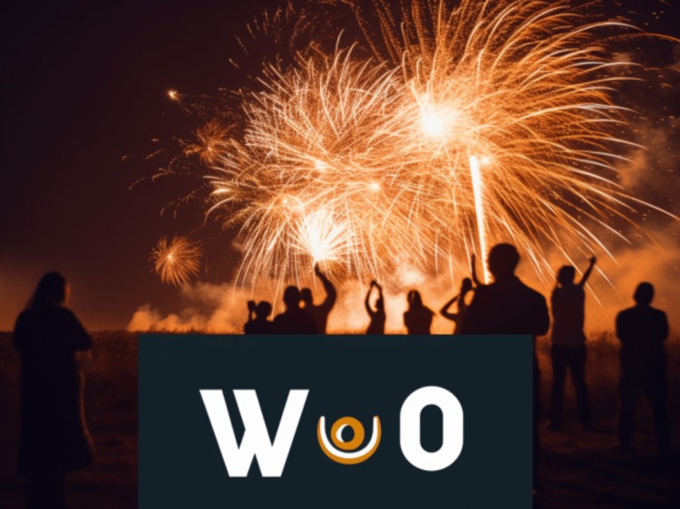 WOO 揮汗如雨，從 3AC 收回股份和股份 2000 萬代幣！