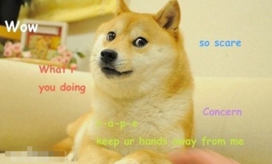什么是網(wǎng)絡(luò)語言doge？