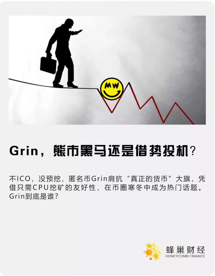 Grin這種匿名貨幣點(diǎn)燃了冷幣圈，能否扛起“真貨幣”的大旗？