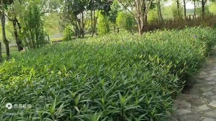 國內(nèi)對比特幣虛擬貨幣了解不全面，容易掉進(jìn)詐騙陷阱，開戶...