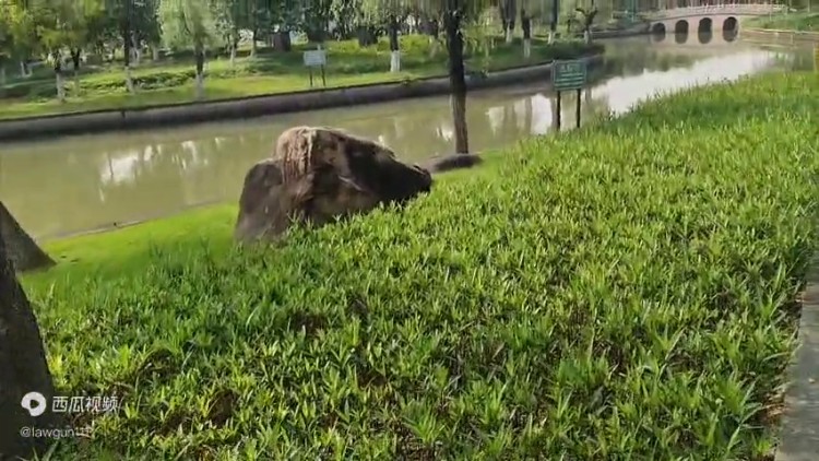 國內(nèi)對比特幣虛擬貨幣了解不全面，容易掉進(jìn)詐騙陷阱，開戶...