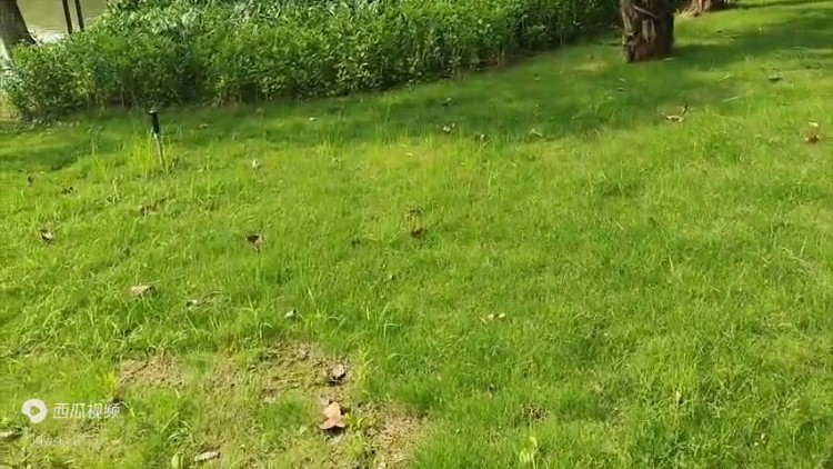 國內(nèi)對比特幣虛擬貨幣了解不全面，容易掉進(jìn)詐騙陷阱，開戶...