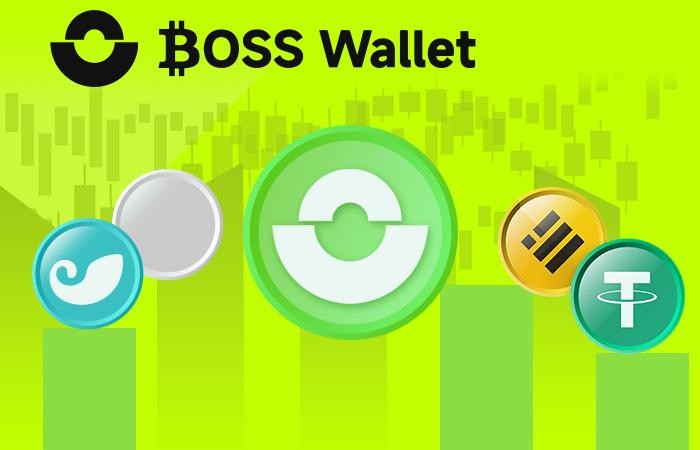 6萬美元的比特幣測試關(guān)口_BOSS幫助用戶保護虛擬資產(chǎn)的Wallet(1)