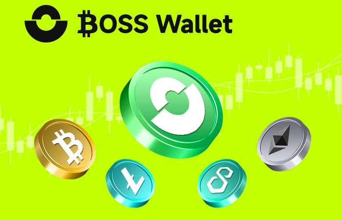 6萬美元的比特幣測試關(guān)口_BOSS幫助用戶保護虛擬資產(chǎn)的Wallet(1)